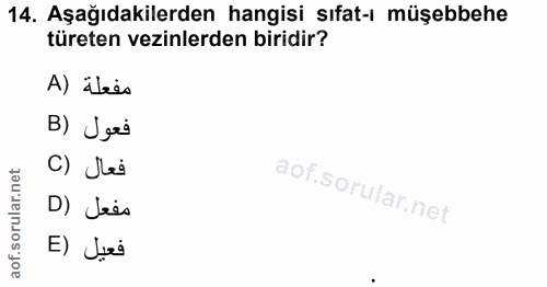 14. soru: Aşağıdakilerden hangisi sıfat-ı müşebbehe türeten vezinlerden biridir? A) lees B) Usi C) JLi D) Lees E) Juri