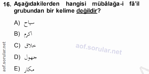 16. soru: Aşağıdakilerden hangisi mübâlağa-i fa'il grubundan bir kelime değildir? A) Elan B) e51 خلاق (C D) Jesa E) ,Es