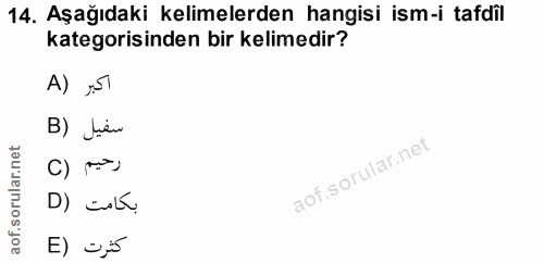 14. soru: Aşağıdaki kelimelerden hangisi ism-i tafdil kategorisinden bir kelimedir? A) 15T B) Jen رحيم (C D) cuL كثرت (E