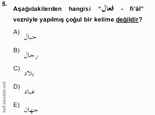 5. soru: Aşağıdakilerden hangisi "Jl - fr'âl" vezniyle yapılmış çoğul bir kelime değildir? A) جبال رجال C) بلاد D) عباد جهان