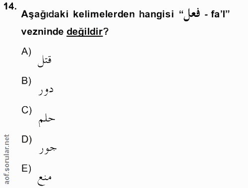14. soru: Aşağıdaki kelimelerden hangisi "Jel - fal" vezninde değildir? A) قتل B) دور C) حلم D) جور E) cis