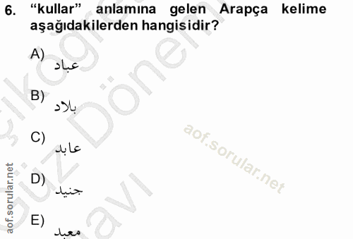 6. soru: "kullar" anlamına gelen Arapça kelime aşağıdakilerden hangisidir? A) B) C) D) dia. E)