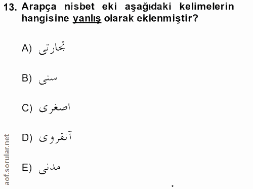 13. soru: Arapça nisbet eki aşağıdaki kelimelerin hangisine yanlış olarak eklenmiştir? A) E,LE B) sino C) sisl آنقروى (D E) Slo