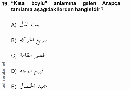 19. soru: "Kısa boylu" anlamına gelen Arapça tamlama aşağıdakilerden hangisidir? A) JUl in سريع الحركه (B قصير القامة (C قبيح ا…