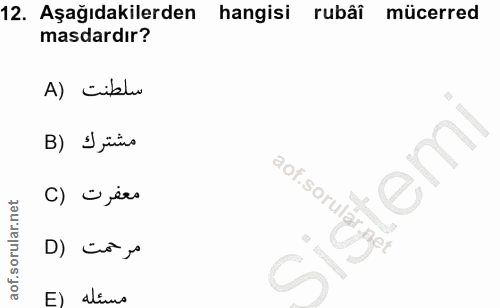 12. soru: Aşağıdakilerden hangisi rubâî mücerred masdardır? A) ciblu B) J jüvo emi C) ojees D) ¿š› sigir E) ali