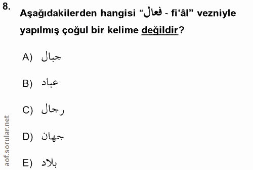 8. soru: Aşağıdakilerden hangisi "Je' - fi'âl" vezniyle yapılmış çoğul bir kelime değildir? A) Jo B) ›lc C) Ja , D) úf= E) ›4