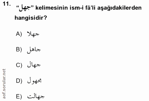 11. soru: "Jeo." kelimesinin ism-i fåli aşağıdakilerden hangisidir? A) Ipo B) Jola c) J4= D) Jes= جهالت (E