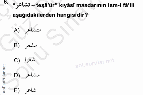 6. soru: "„chüü - teşâ'ür" kıyâsi masdarının ism-i fâ'ili aşağıdakilerden hangisidir? متشاعر (A B) rive C) Ieù D) „chiw E) , li