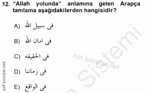 12. soru: "Allah yolunda" anlamına gelen Arapça tamlama aşağıdakilerden hangisidir? A) del tunu ý B) ail ülal g فى الحقيقه (C a…