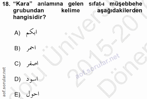 18. soru: "Kara" anlamına gelen sıfat-ı müşebbehe grubundan kelime aşağıdakilerden hangisidir? A) Ünive B) C) jeol D) اسود E) Jel