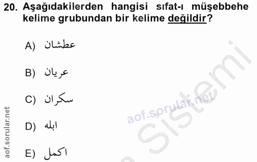 20. soru: Aşağıdakilerden hangisi sıfat-ı müşebbehe kelime grubundan bir kelime değildir? A) Ülüss عريان (B سكران (C aof.sprula…