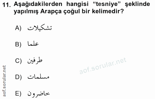 11. soru: Aşağıdakilerden hangisi "tesniye" şeklinde yapılmış Arapça çoğul bir kelimedir? تشكيلات (A B) Lalo c) vi,b D) Ölamu خ…