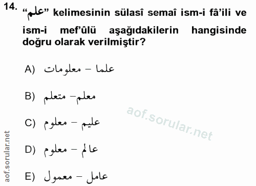 14. soru: "olc" kelimesinin sülasi semaî ism-i fäili ve ism-i mef'ülü aşağıdakilerin hangisinde doğru olarak verilmiştir? A) Ol…
