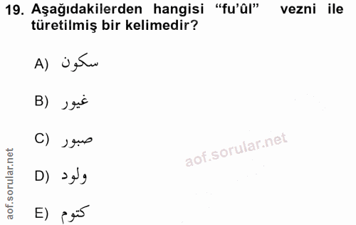 19. soru: Aşağıdakilerden hangisi "fu'ûl" vezni ile türetilmiş bir kelimedir? A) jeto غيور (B C) souo ولود (D E) = gi5