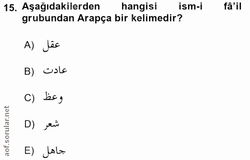 15. soru: Aşağıdakilerden hangisi ism-i fâ'il grubundan Arapça bir kelimedir? A) Jes B) cola C) bsg D) rù E) Job