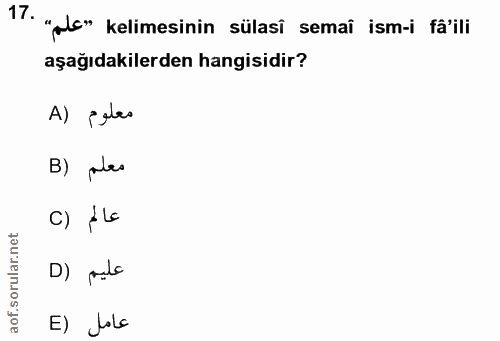 17. soru: "Ac" kelimesinin sülasi semaï ism-i fâ'ili aşağıdakilerden hangisidir? A) peles B) plas C) ALa D) pala E) Jole