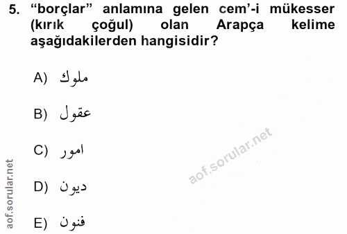 5. soru: "borçlar" anlamına gelen cem'-i mükesser (kırık çoğul) olan Arapça kelime aşağıdakilerden hangisidir? A) Salo B) Jës…
