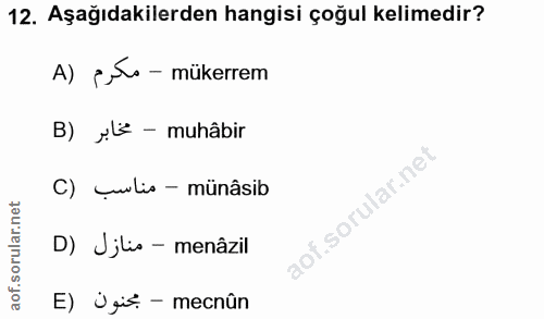 12. soru: Aşağıdakilerden hangisi çoğul kelimedir? A) silo - mükerrem B) Jü - muhâbir C) _lis-münâsib D) Jjlio - menâzil E) Ügi…