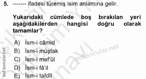 5. soru: ------ ifadesi türemiş isim anlamına gelir. Yukarıdaki cümlede boş bırakılan yeri aşağıdakilerden hangisi doğru olara…