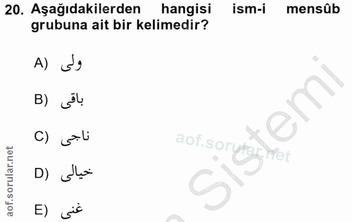 20. soru: Aşağıdakilerden hangisi ism-i mensûb grubuna ait bir kelimedir? A) B) jL em ناجى (C aof.sorygn Met D) Slo E) sic