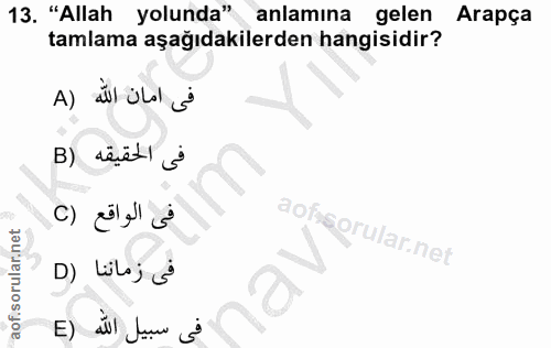 13. soru: "Allah yolunda" anlamına gelen , Arapça tamlama aşağıdakilerden hangisidir? A) dil ülal B) sêüt1 3 aof aofi D) Lloj o…