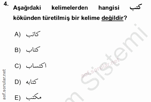 4. soru: Aşağıdaki kelimelerden hangisi kökünden türetilmiş bir kelime değildir? A) çit5 B) Ul5 C) Ulurüs l D) a,li5 E) çit.