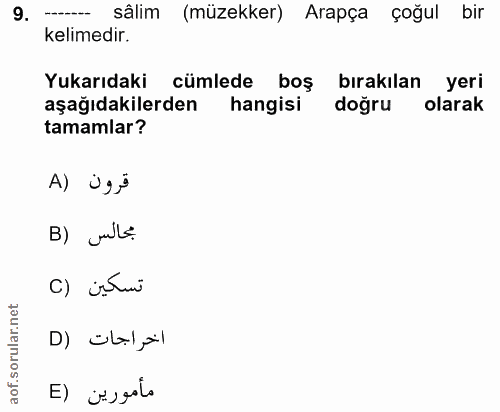 9. soru: ---- sâlim (müzekker) Arapça çoğul bir kelimedir. Yukarıdaki cümlede boş bırakılan yeri aşağıdakilerden hangisi doğru…