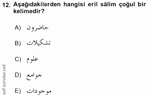 12. soru: Aşağıdakilerden hangisi eril sâlim çoğul bir kelimedir? A) issisto تشكيلات (B c) pele D) calg موجودات (E