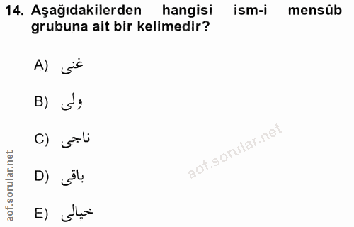 14. soru: Aşağıdakilerden hangisi ism-i mensûb grubuna ait bir kelimedir? A) j's B) S9 ناجى (C D) ju. E) dai