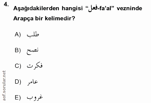 4. soru: Aşağıdakilerden hangisi "Jai-fa'al" vezninde Arapça bir kelimedir? A) ulb B) rsi c) 0,58 D) jola E) ÷9,€