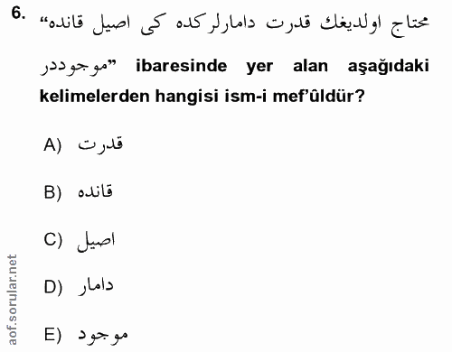 6. soru: محتاج اولديغك قدرت دامار لر كده كى اصيل قانده، .6 ¡ºg g" ibaresinde yer alan aşağıdaki kelimelerden hangisi ism-i mef…
