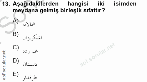 13. soru: Aşağıdakilerden hangisi iki isimden meydana gelmiş birleşik sıfattır? A) همالانه اشكريزان C) غم زده D) دلستان E) طر فدار