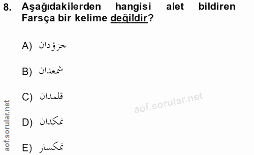 8. soru: Aşağıdakilerden hangisi alet bildiren Farsça bir kelime değildir? جزوّدان (A B) illeri C) illab D) juri نمكسار (E