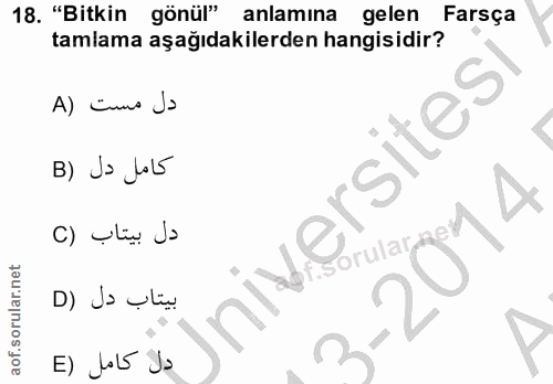 18. soru: "Bitkin gönül" anlamına gelen Farsça tamlama aşağıdakilerden hangisidir? A) cnns Jo B) Ja Jol5 niversitesi دل بيتاب (…