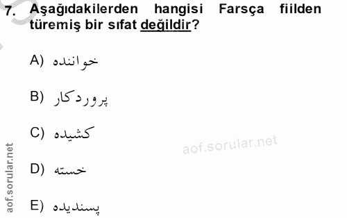7. soru: Aşağıdakilerden hangisi Farsça fiilden türemiş bir sıfat değildir? A) alil ga پرورد كار (B كشيده (C D) dint E) ab lin
