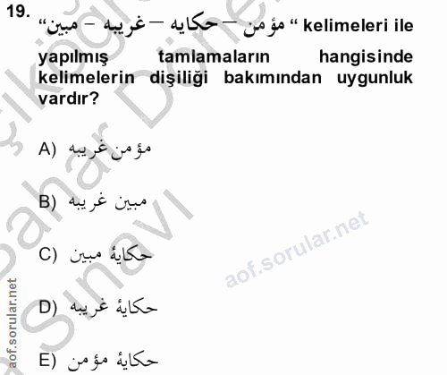 19. soru: حكايه - غريبه - مبين» .19 jo js " kelimeleri ile yapılmış tamlamaların hangisinde kelimelerin dişiliği bakımından uyg…