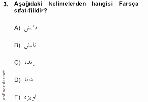 3. soru: Aşağıdaki kelimelerden hangisi Farsça sıfat-fiildir? A) üla B) isli C) ali, E) •}gİ