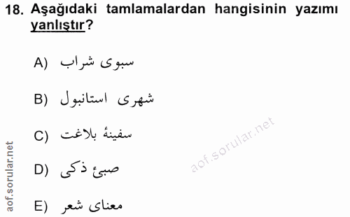 18. soru: Aşağıdaki tamlamalardan hangisinin yazımı yanlıştır? سبوى شراب (A شهرى استانبول (B () cisl inen صبئ ذكى (D E) rù Slies