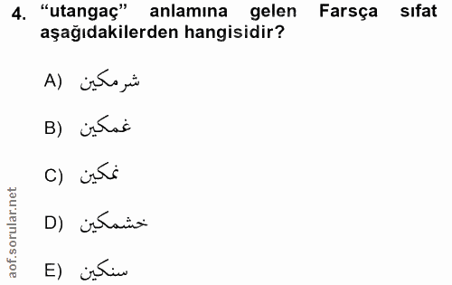 4. soru: "utangaç" anlamına gelen Farsça sıfat aşağıdakilerden hangisidir? شرمكين (A B) istas نمكين (C خشمكين (D E) jetin