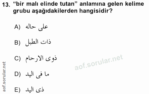 13. soru: "bir malı elinde tutan" anlamına gelen kelime grubu aşağıdakilerden hangisidir? على حاله (A ذات الطبل (B () pLa, YI S…