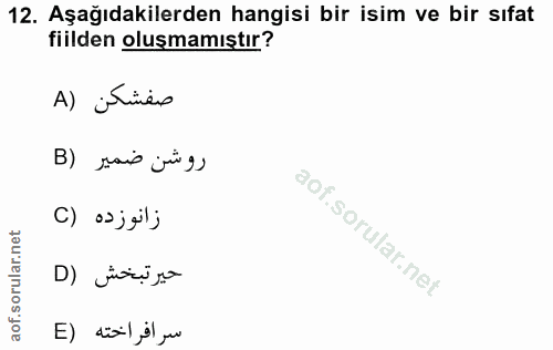 12. soru: Aşağıdakilerden hangisi bir isim ve bir sıfat fiilden oluşmamıştır? A) jetinais B) saio juig, زانوزده (C سر افراخته (E