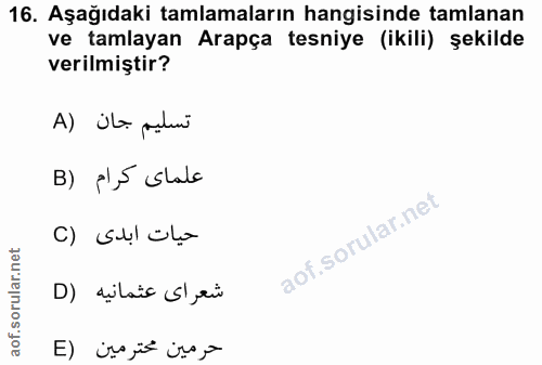 16. soru: Aşağıdaki tamlamaların hangisinde tamlanan ve tamlayan Arapça tesniye (ikili) şekilde verilmiştir? A) ita patur B) el…
