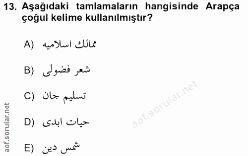 13. soru: Aşağıdaki tamlamaların hangisinde Arapça çoğul kelime kullanılmıştır? ممالك اسلاميه (A B) Grisi ,eù تسليم جان (C حيات…