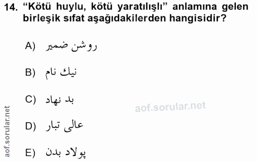 14. soru: "Kötü huylu, kötü yaratılışlı" anlamına gelen birleşik sıfat aşağıdakilerden hangisidir? A) sais jig, B) pli Eli C) s…
