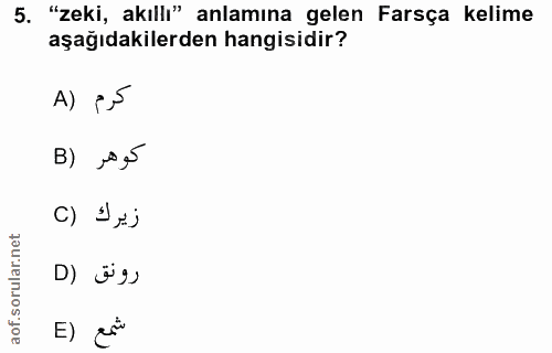 5. soru: "zeki, akıll'" anlamına gelen Farsça kelime aşağıdakilerden hangisidir? A) e5 B) ,0 5 زيرك (C D} ëș› E) esi