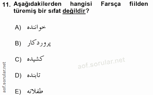 11. soru: Aşağıdakilerden hangisi Farsça fiilden türemiş bir sıfat değildir? A) adilçei پروردكار (B كشيده (C تابنده (D E) disles