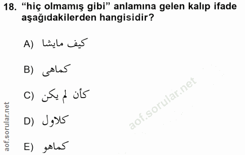 18. soru: "hiç olmamış gibi" anlamına gelen kalıp ifade aşağıdakilerden hangisidir? A) Ligla es B) solos كأن لم يكن (C D) J935…