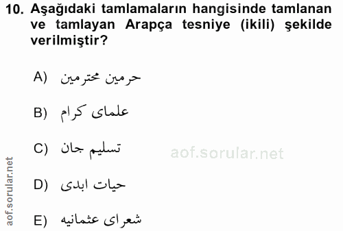 10. soru: Aşağıdaki tamlamaların hangisinde tamlanan ve tamlayan Arapça tesniye (ikili) şekilde verilmiştir? A → B) el,5 stata…