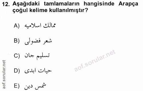 12. soru: Aşağıdaki tamlamaların hangisinde Arapça çoğul kelime kullanılmıştır? ممالك اسلاميه (A B) Seiss ,eù C) Üla padir D) S…