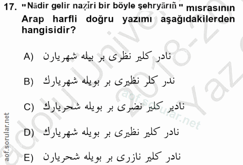 17. soru: "Nädir gelir naziri bir böyle şehryärın " mısrasının Arap harfli doğru yazımı aşağıdakilerden hangisidir?